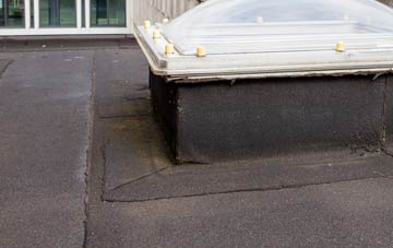 disadvantages of Daddry Shield flat roofs