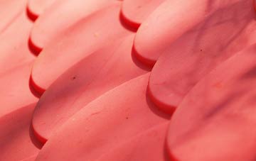 Daddry Shield plastic roof costs