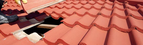 compare Daddry Shield roof repair quotes