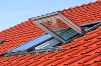 Daddry Shield roof window